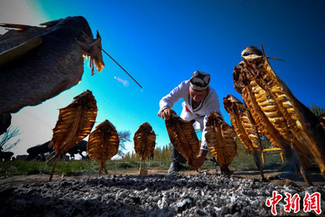 新疆叶尔羌河畔的维吾尔原始烤鱼شىنجاڭ زەرەپشان بويلىرىدىكى ئۇيغۇرلارنىڭ ئەنئەنىۋى بېلىق كاۋىپى