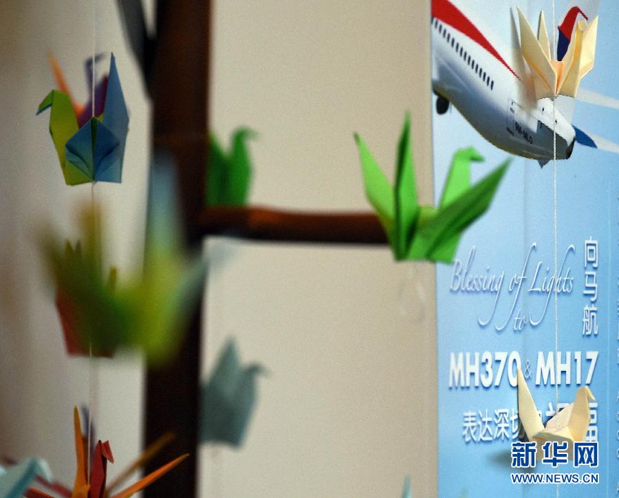 مالايسىيانىڭ MH17 نومۇرلۇق يولۇچىلار ئايروپىلانى  ھەققىدىكى دەسلەپكى تەكشۈرۈش دوكلاتى ئېلان قىلىندى(4)